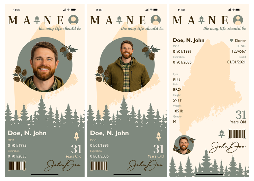 Style 2, Line Art: three ID screens with sage green trees and pine cone accents