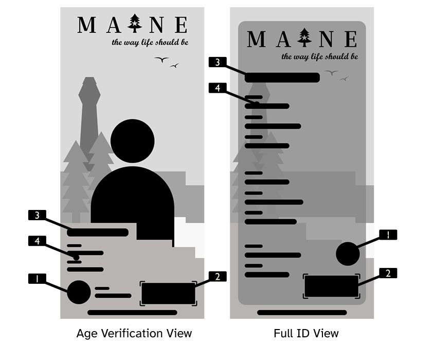 Grid System Wireframe