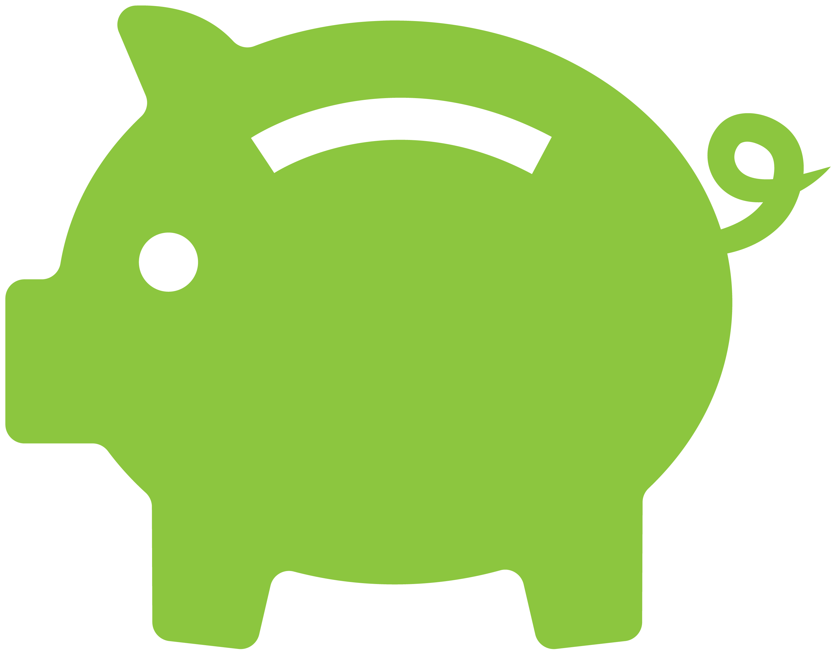 Green piggy bank icon